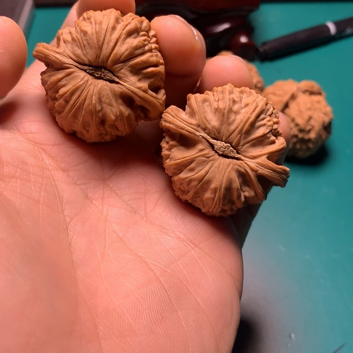 把件文玩核桃白狮子