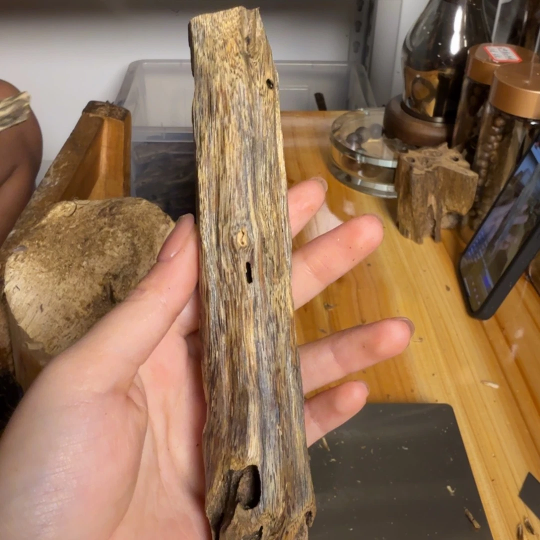 沉香白奇淳化虫漏老料26克