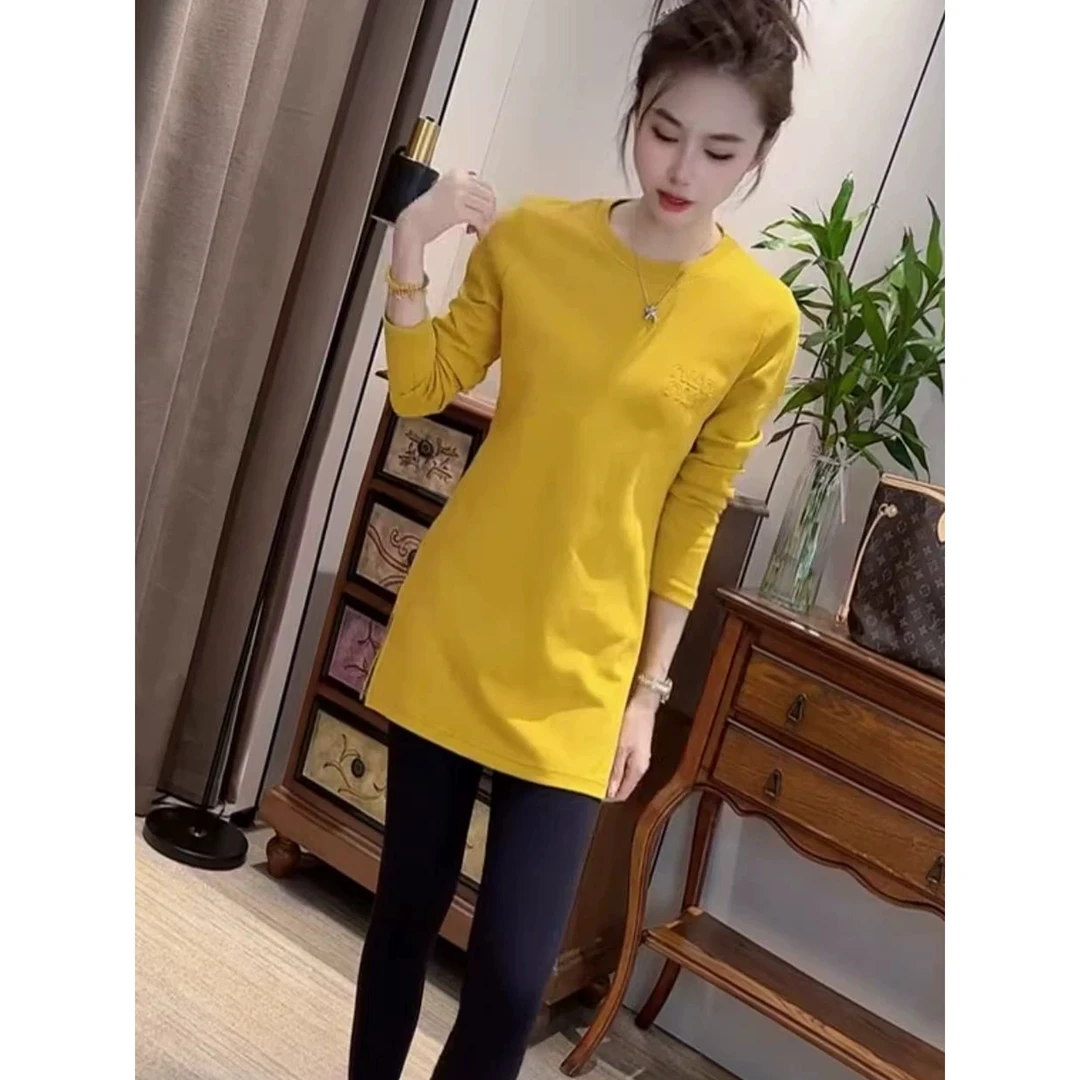 欧货高级感简约百搭中长款打底衫女2025秋季新款修身显瘦时尚上衣