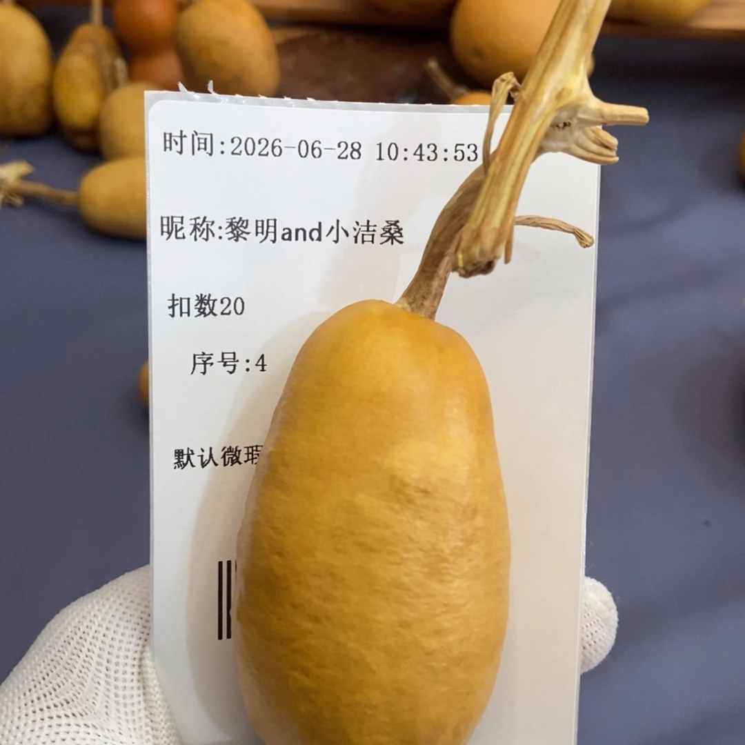 黎****桑哈哈哈哈哈哈哈哈哈