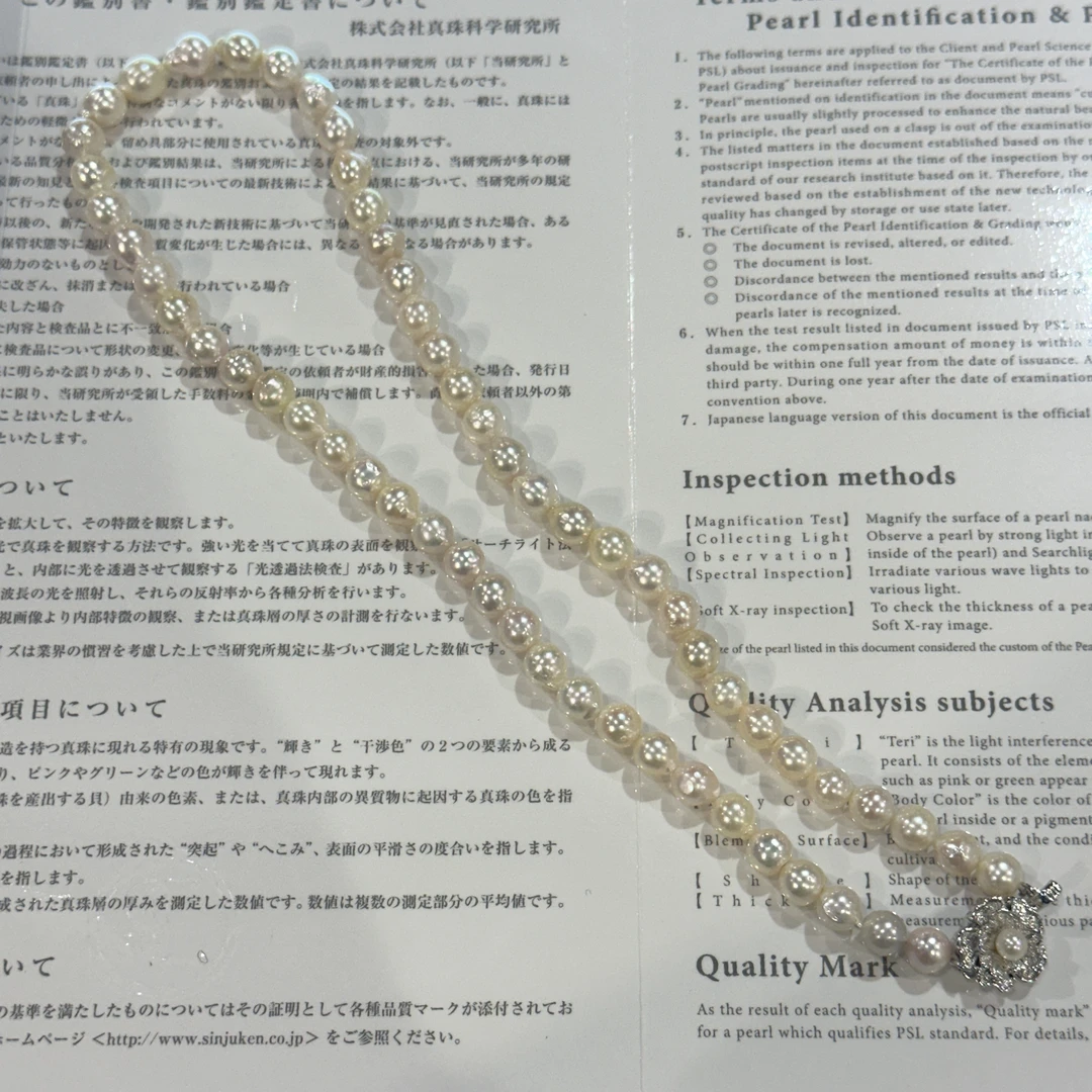 日本极亮炫彩小巴 7-7.5mm 47cm ZB251366