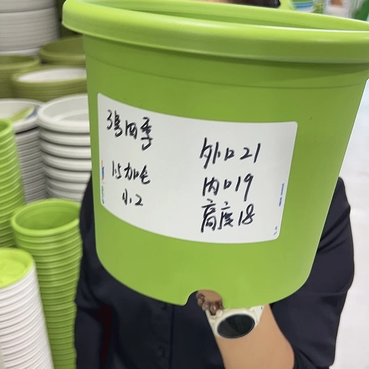 正品3号四季口21高18果绿无托10只