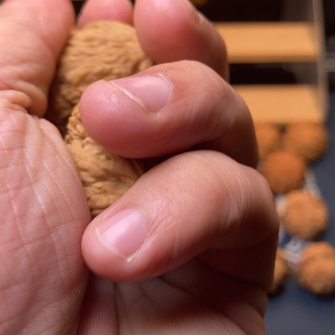 龅***伴文玩核桃把件全品原生态燕山绣球