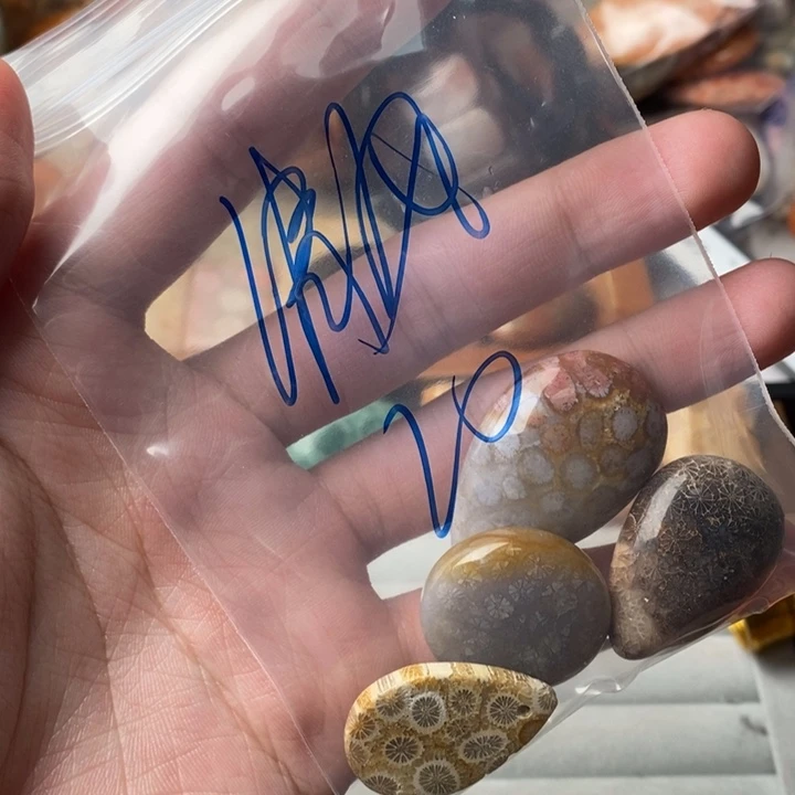清***呀硅化玉未镶嵌珊瑚玉