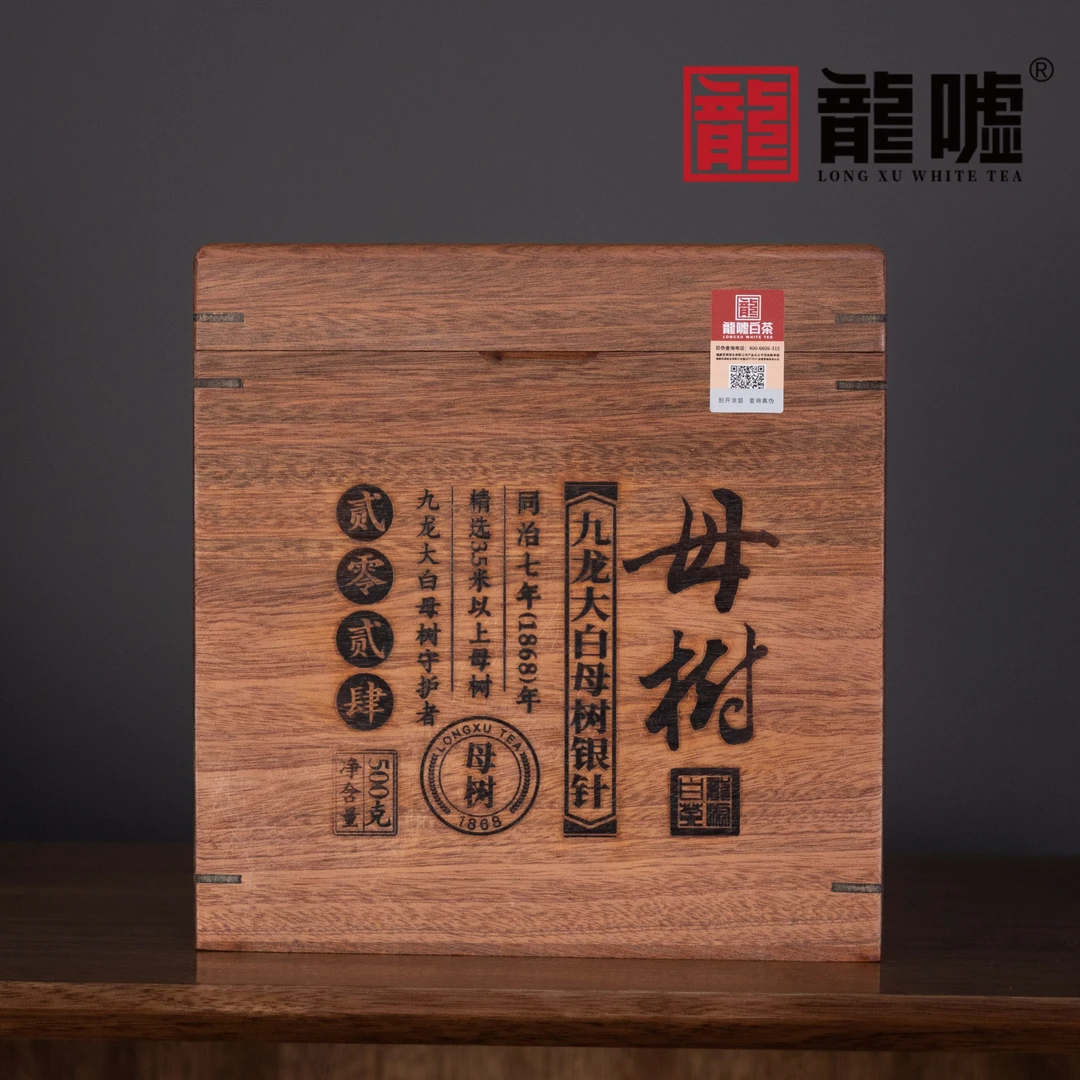 【长盛财经专属】龙嘘2024年九龙大白母树银针500g