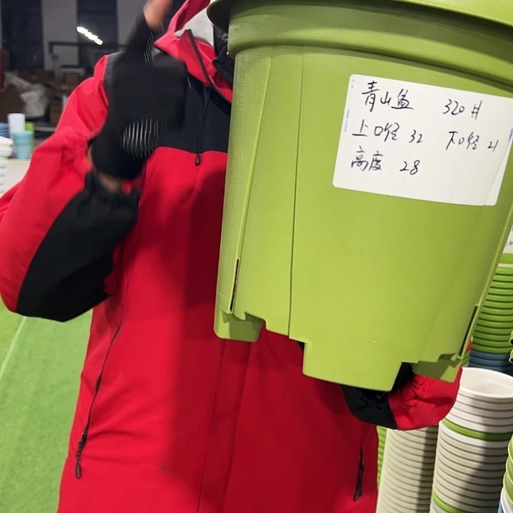 清仓青山口32高28果绿色5只带托