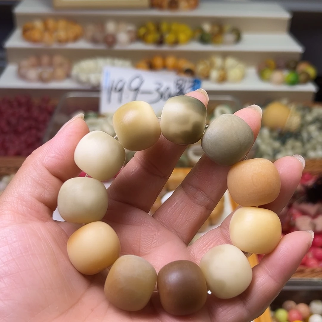 菩提根/象牙果手串卡21磨砂桶一条31号