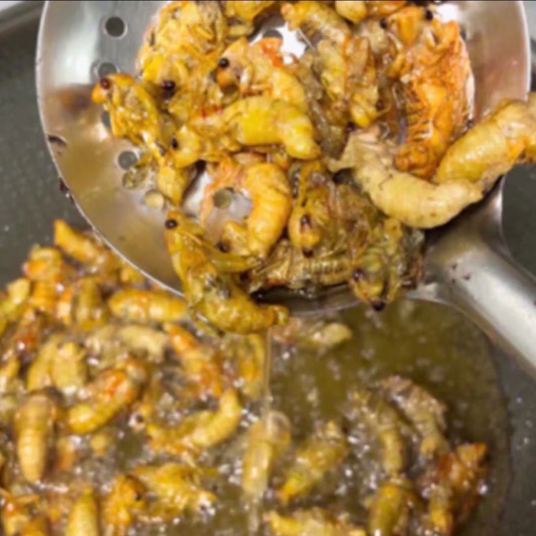 （618特惠）2025野生白蝉 脱壳嫩知了 2瓶100只顺丰包邮冷冻发货