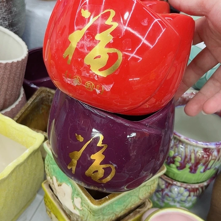 多肉植物陶瓷花盆