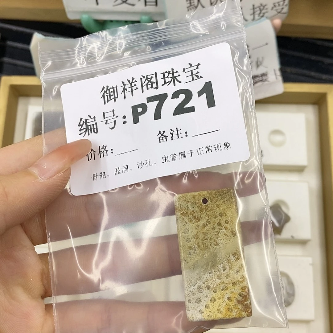 硅化珊瑚（珊瑚玉）未镶嵌颈饰金*
