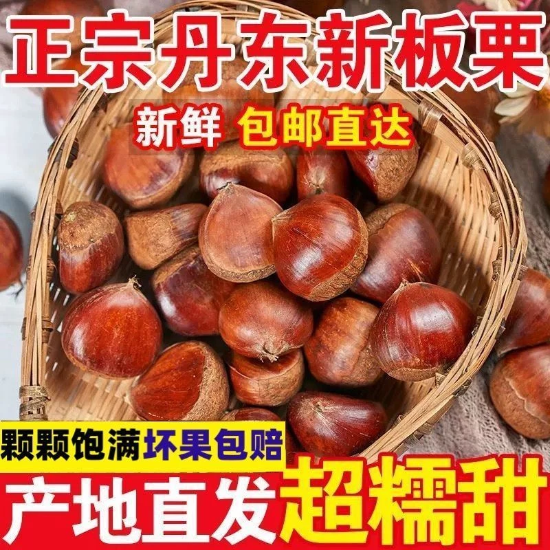新鲜板栗5斤粉糯香甜大果栗子非油栗子坏果包赔L