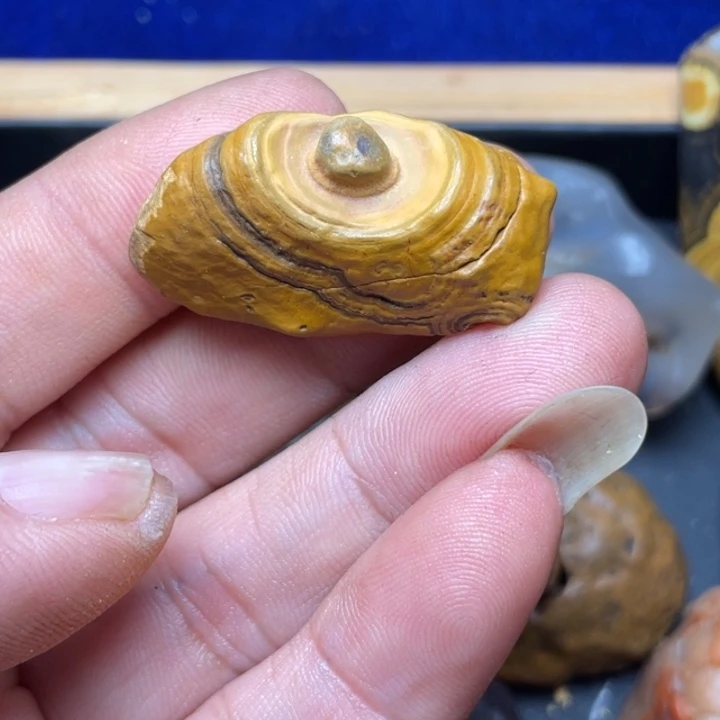 石材纯天然原石奇石273