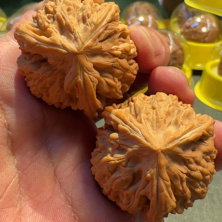 福利精品御龙粗筋正奔38