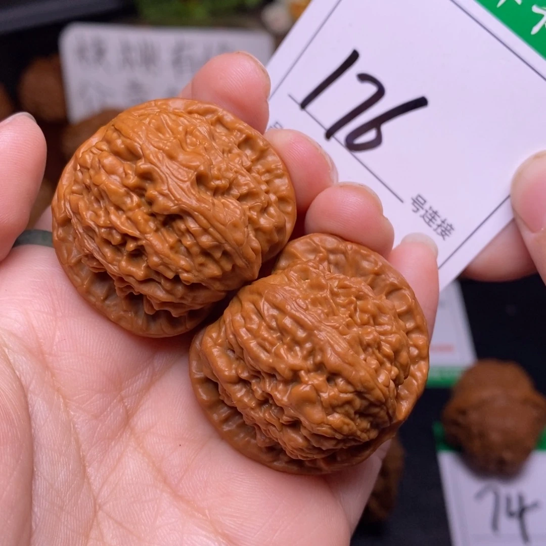 把件文玩核桃176白狮子3.7