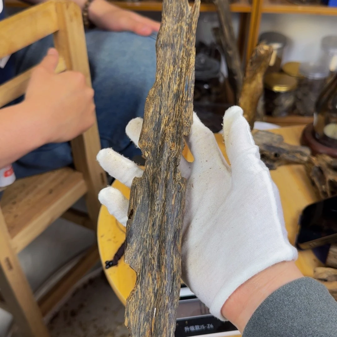 沉香沉香碎屑蓝宝虫漏壳子26克