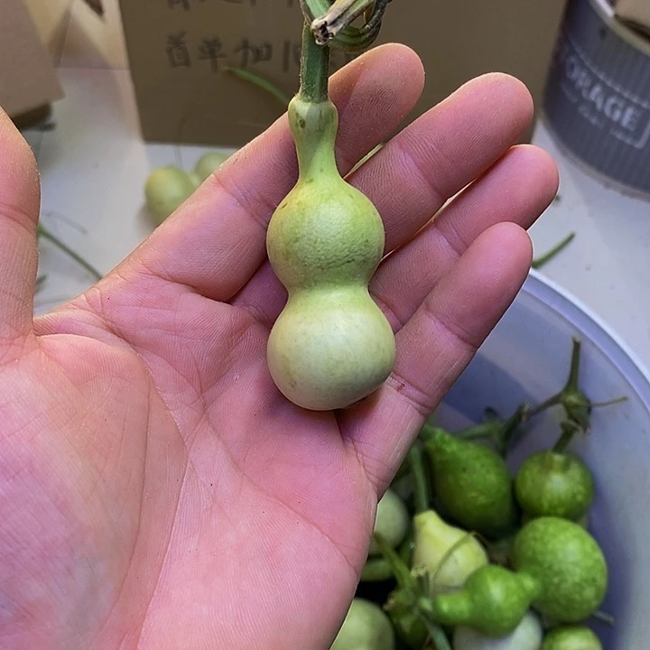 文*长嘴就哈哈哈哈哈哈哈哈哈哈哈哈