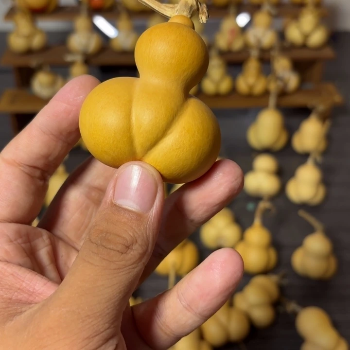 小***金葫芦咕噜咕噜咕噜