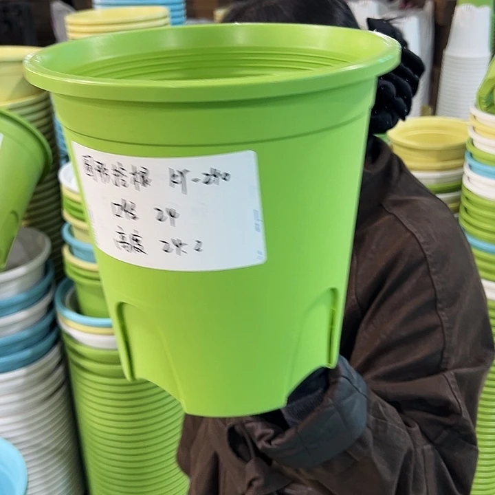 正品圆控口24高24果绿无托5只