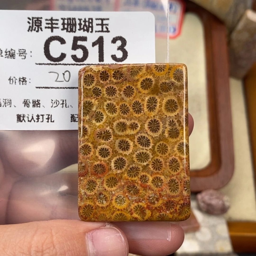 硅化玉颈饰未镶嵌道*