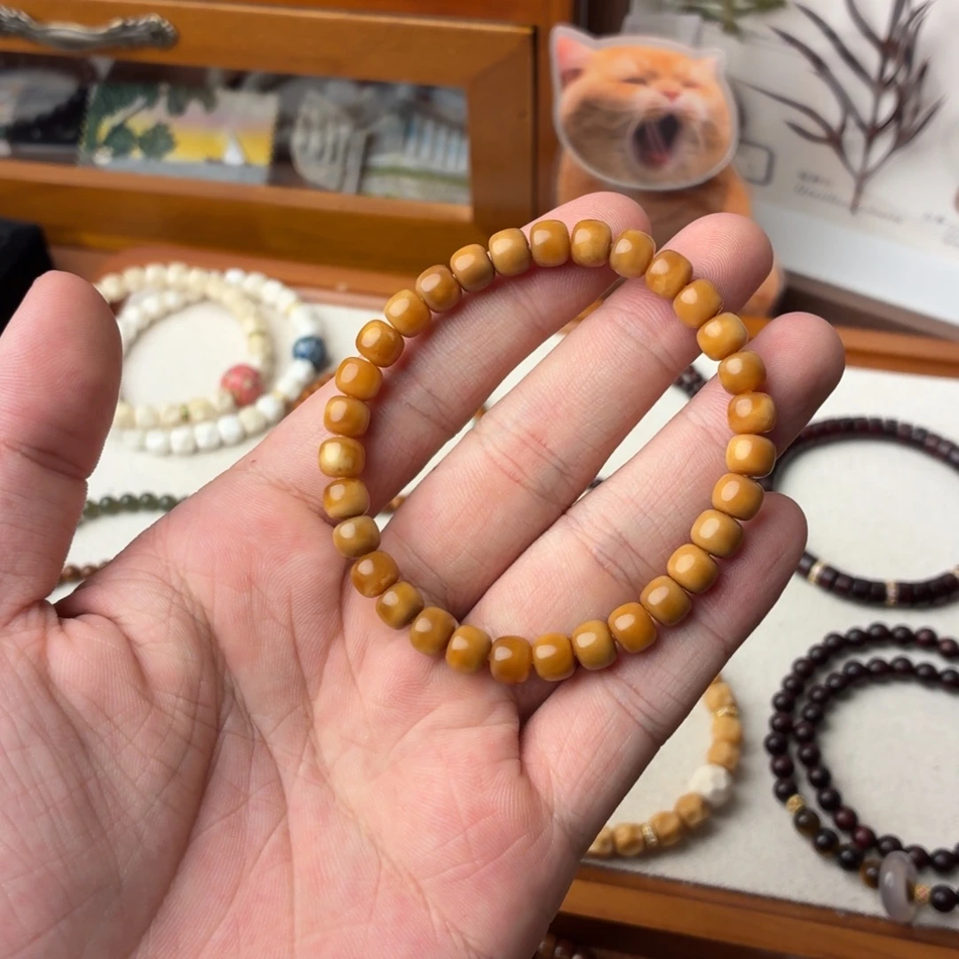 手串/手链菩提多样性