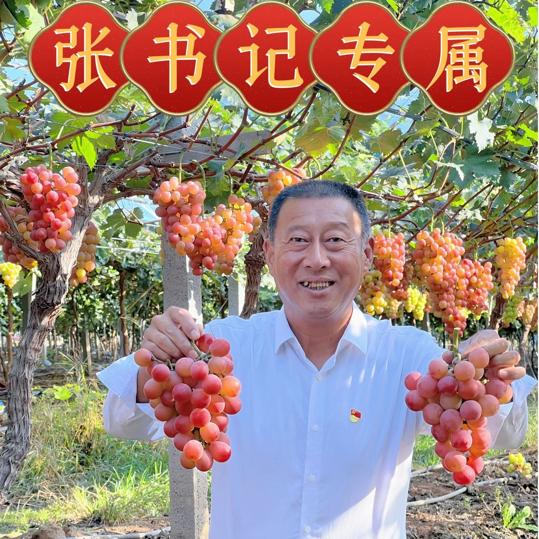 【张书记专属】山西运城高淮村妮娜皇后葡萄新鲜采摘顺丰包邮