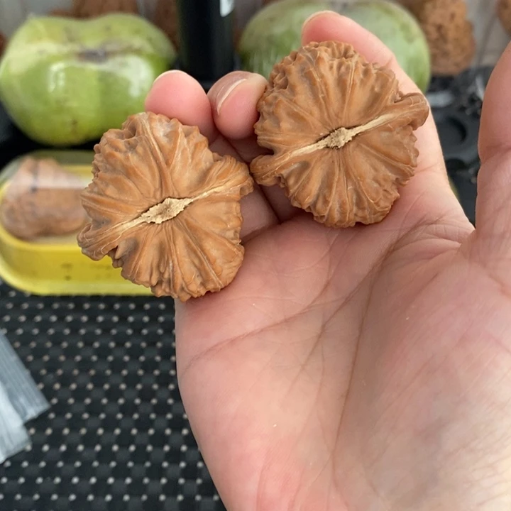 手串/手链核桃全品三角白