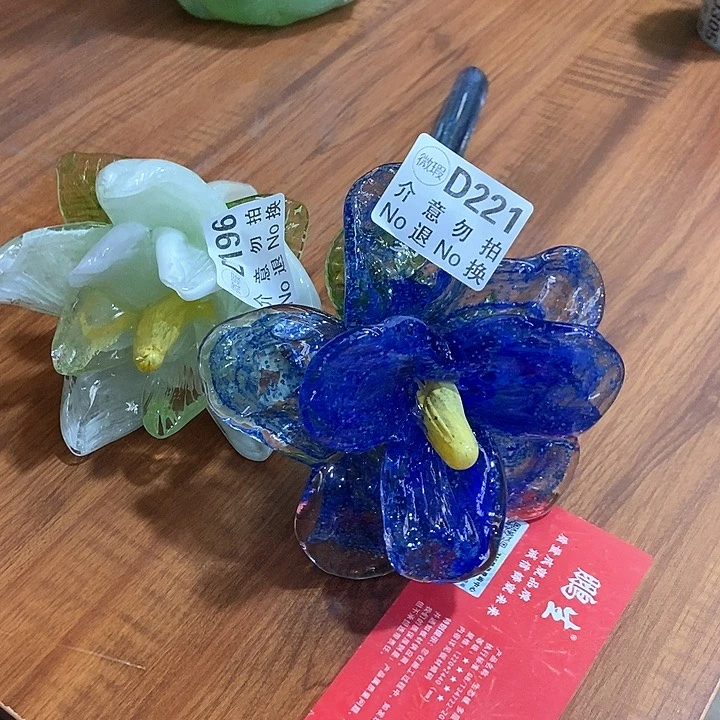 琉璃开***天琉璃花高20口9