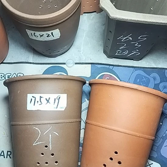 红泥紫泥腰缠万贯两个微瑕