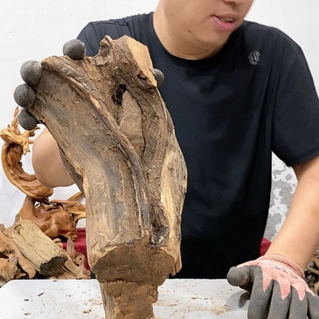 【闪购商品】柏木艺*阁我们都是好孩子