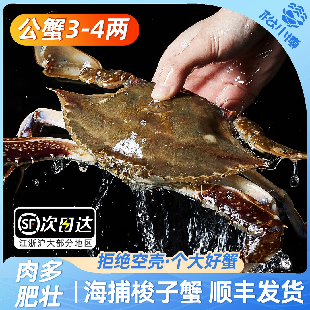 Y松小博舟山梭子蟹公蟹共3斤左右8只4两左右/只液氮鲜冻肥美公蟹不可清蒸【冻蟹】