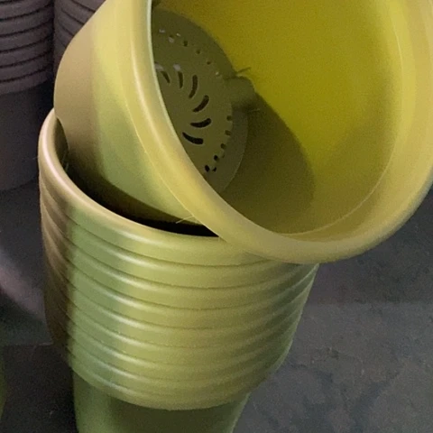 树脂四季4号果绿无托8个