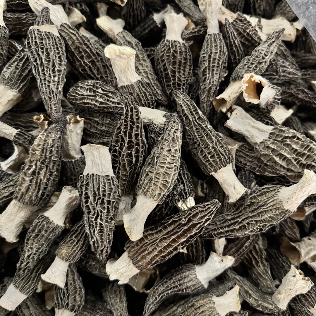 羊肚菌半斤装福利品 捡漏款！品质直播间款
