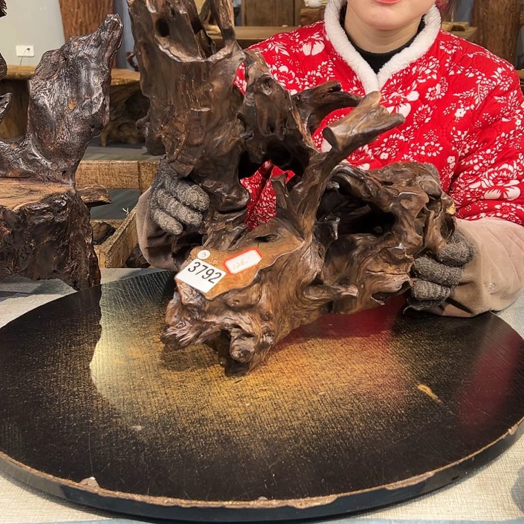 木天**客3792ggggggggggggg