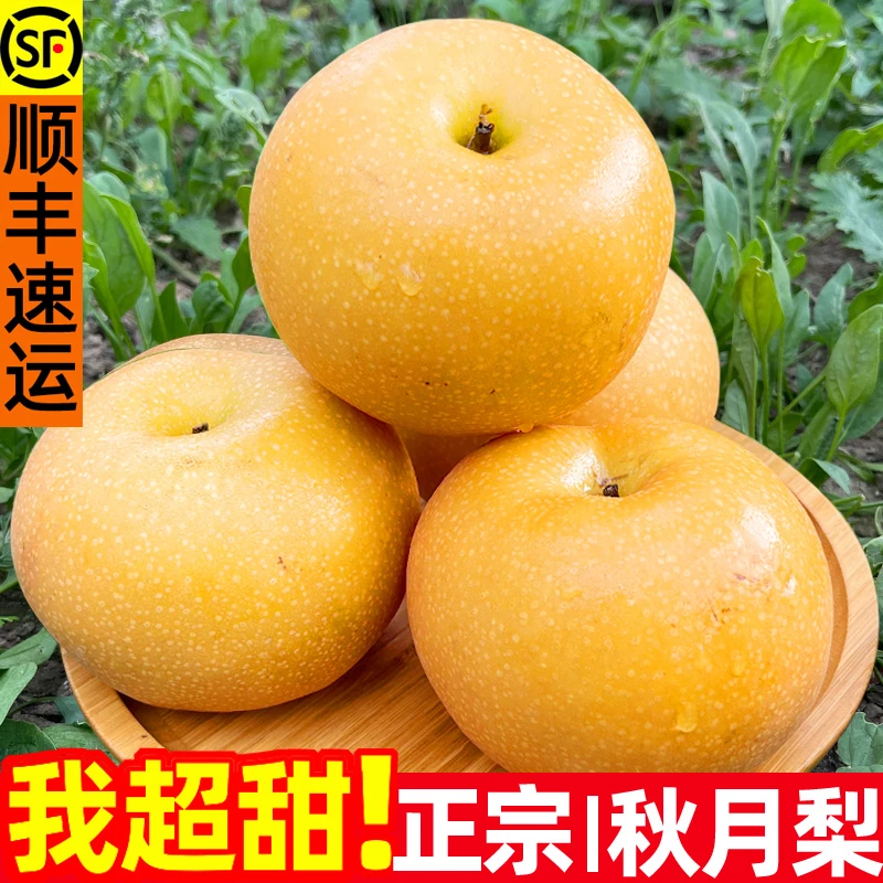 【顺丰包邮】正宗莱阳秋月梨新鲜水果脆甜多汁应季梨子山东特产