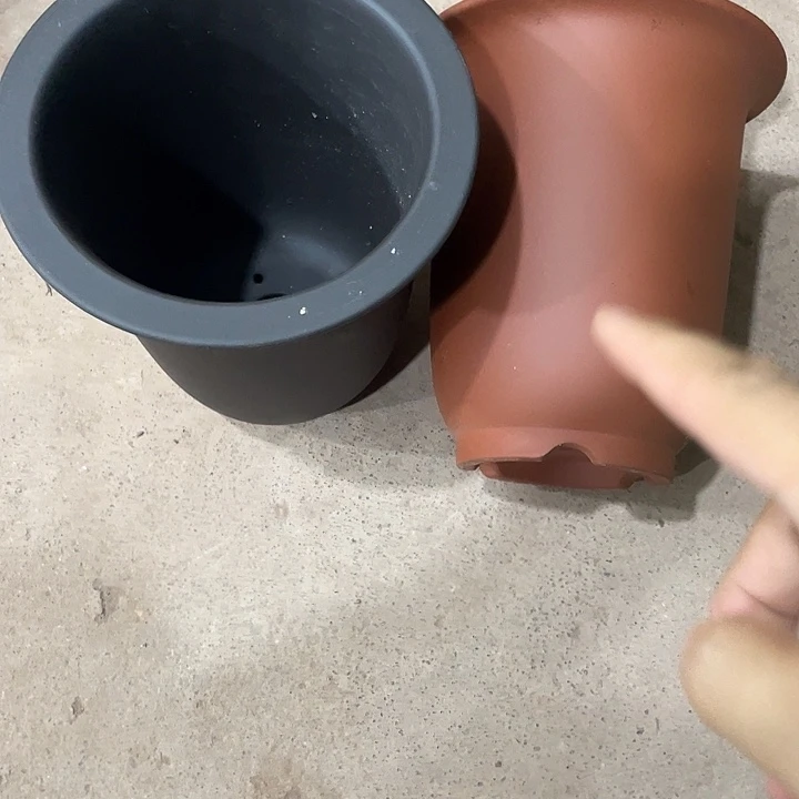 郑***马宜兴丁山张伟花盆