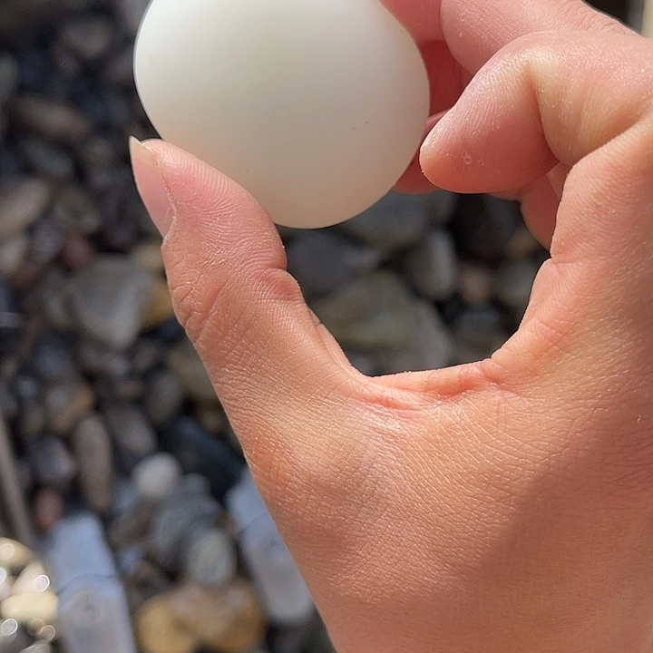 未镶嵌和田玉（糖玉）珠宝奇石