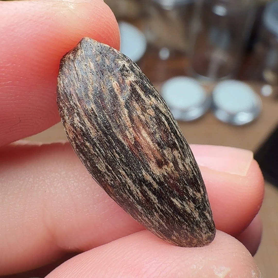 沉香惠东棋韵瓜子0.32g