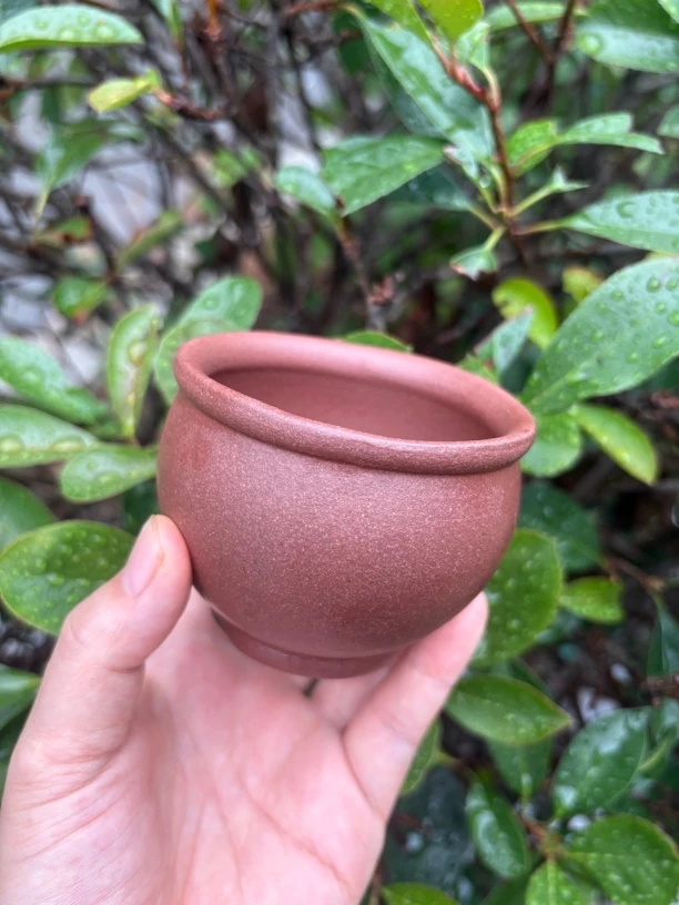 紫泥半手工杯150cc左右功夫茶杯品茗主人杯