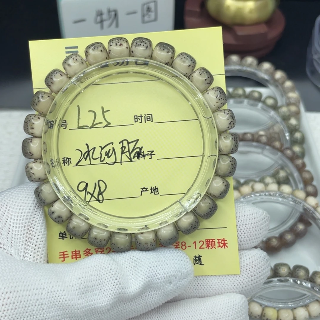 辰***承菩提籽类L冰河豚，