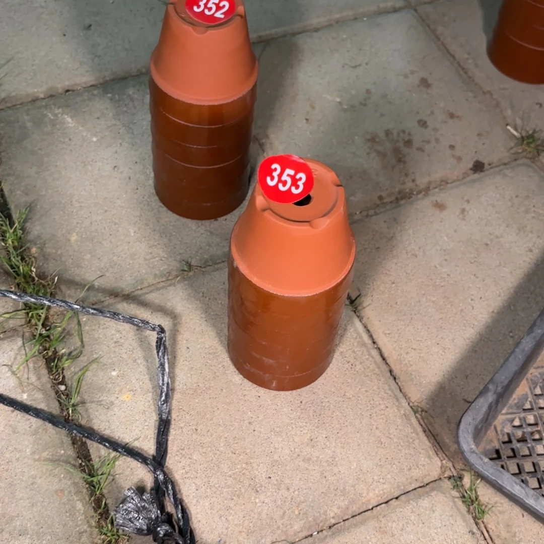 丁**。全场观众热烈鼓掌353