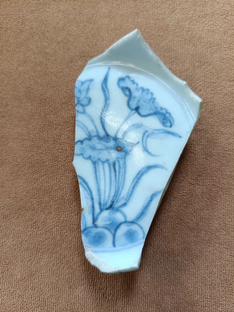 青花一束莲纹标本