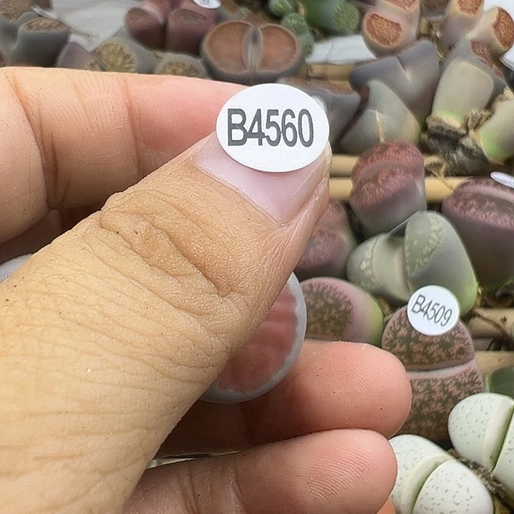 顺****34560下播福利11111111