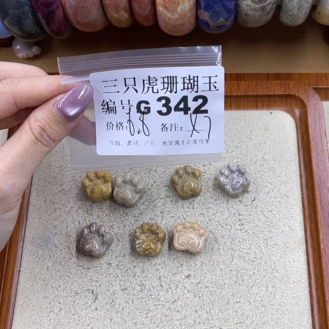一***窝未镶嵌h硅化珊瑚（珊瑚玉）