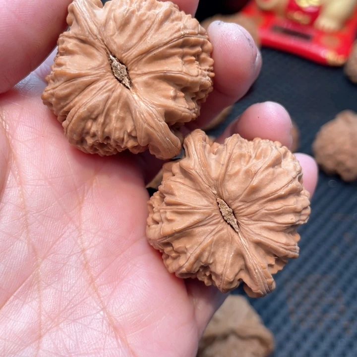 文玩核桃把件南*。白狮子4.0全品