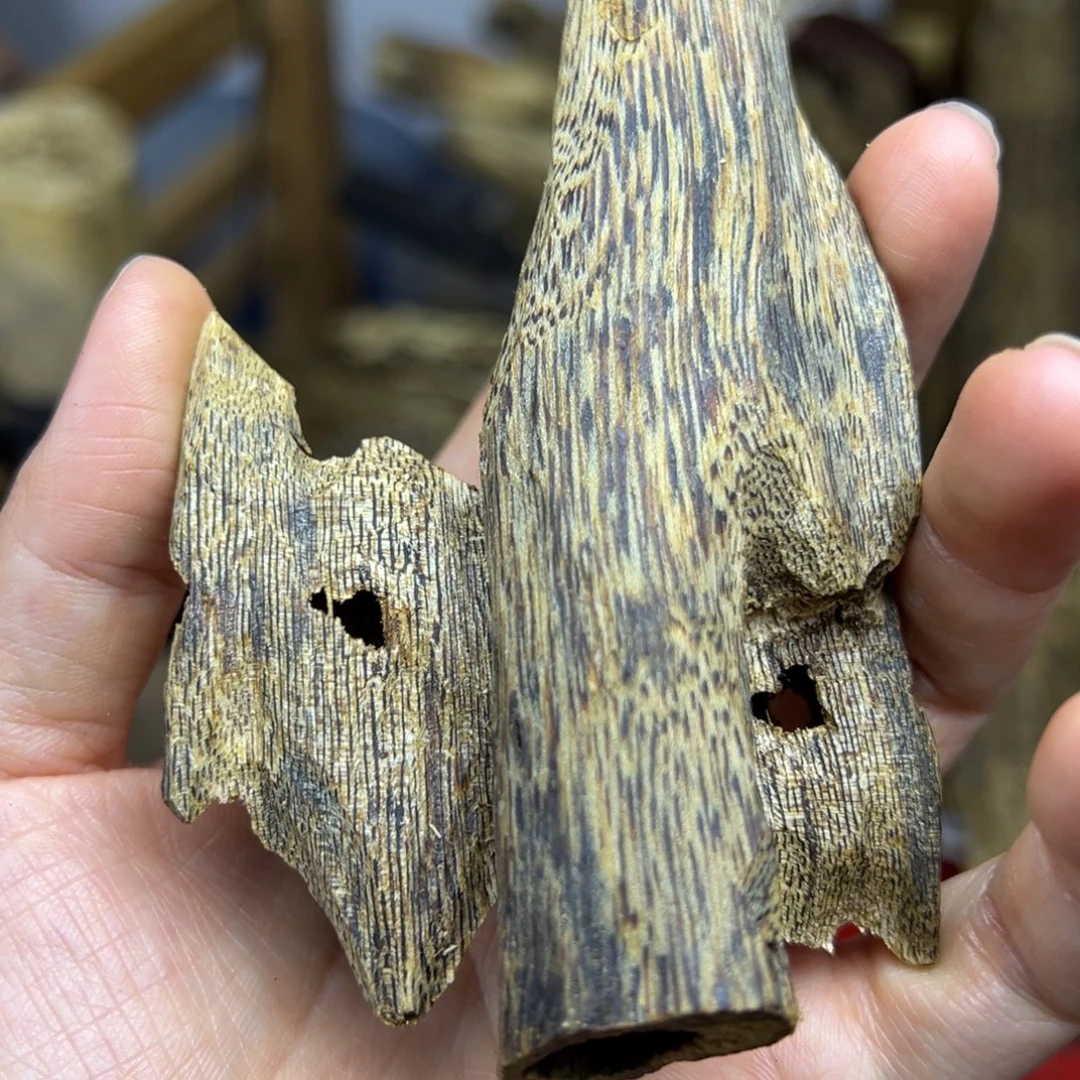 线香奇楠虫漏香25克