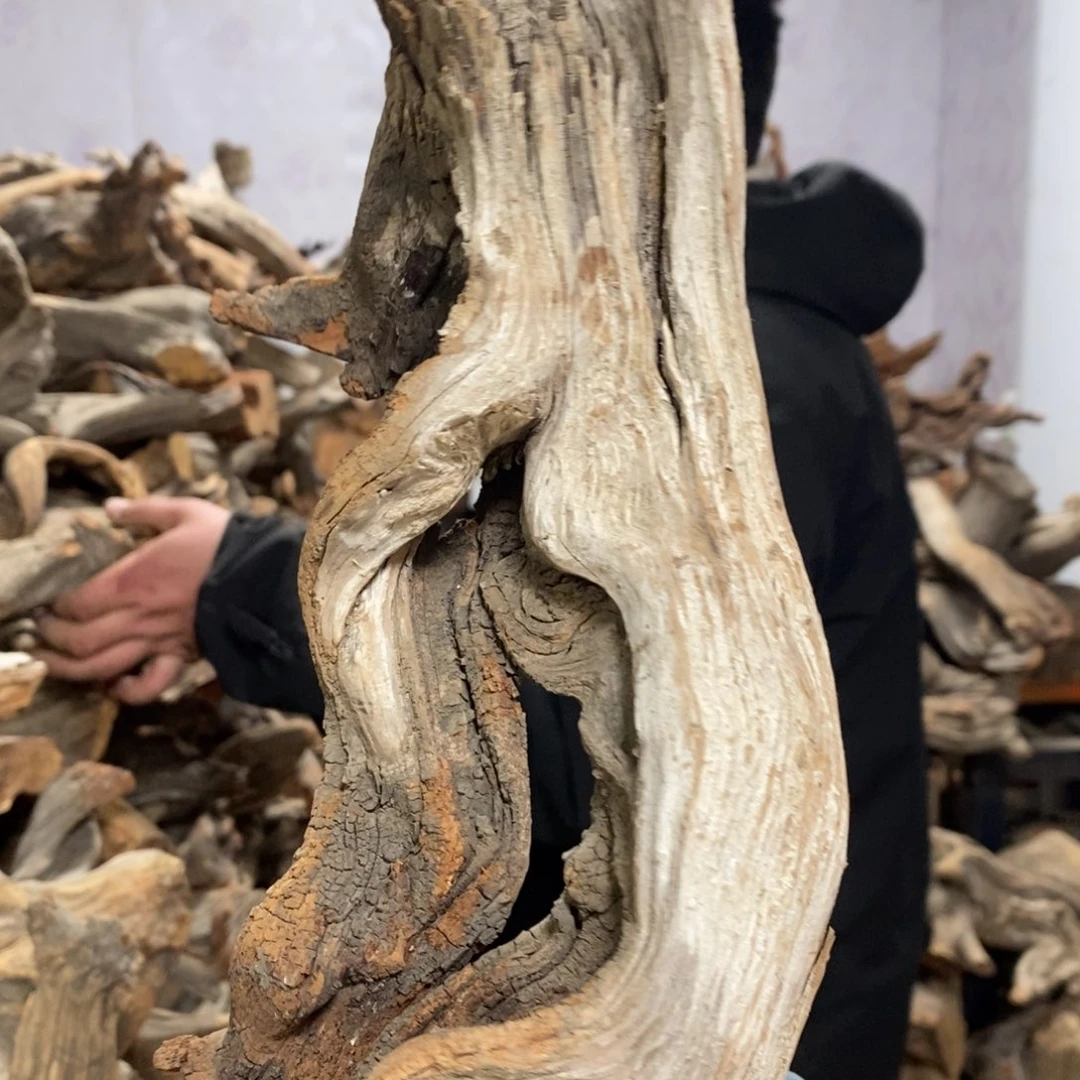 柏木（崖柏）真*闲我们都是好孩子