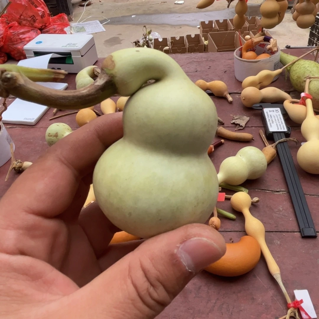 文玩葫芦吊坠项链