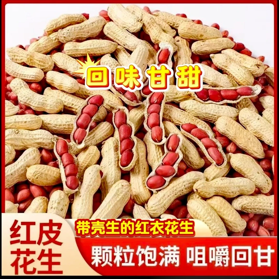 【自然晾晒健康】新晒干带壳红皮花生农家自种红衣花生可煮可做种子