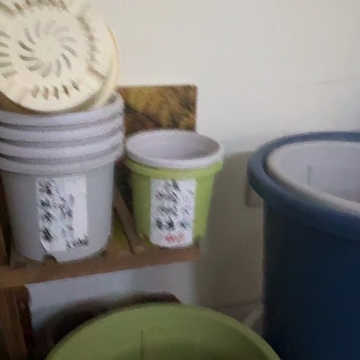 果绿色2号口17高15无托10个