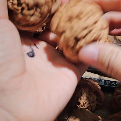 吊坠文玩核桃48.5粗筋